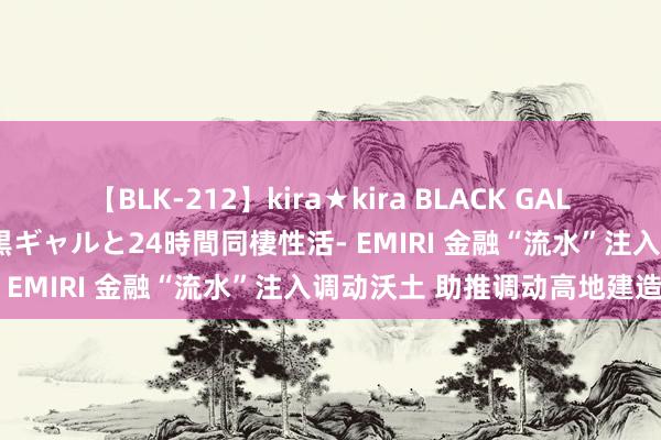 【BLK-212】kira★kira BLACK GAL レンタル痴女GAL-日焼け黒ギャルと24時間同棲性活- EMIRI 金融“流水”注入调动沃土 助推调动高地建造