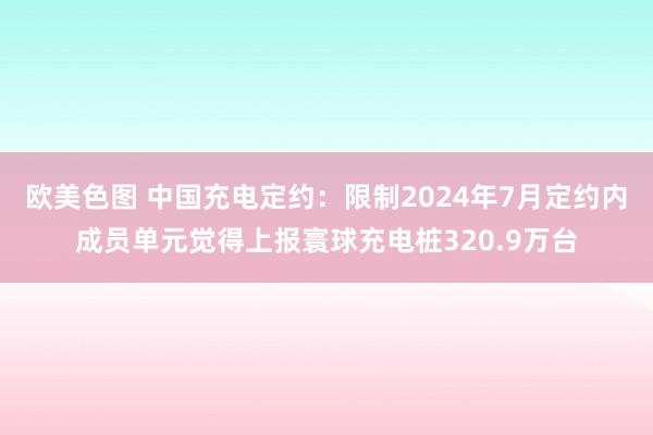 欧美色图 中国充电定约：限制2024年7月定约内成员单元觉得上报寰球充电桩320.9万台