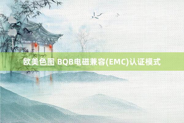 欧美色图 BQB电磁兼容(EMC)认证模式